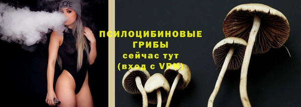 дживик Балабаново