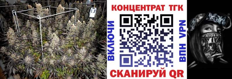 где продают   Куровское  Дистиллят ТГК вейп с тгк 
